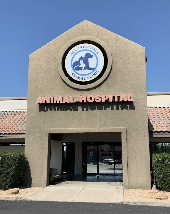 All Creatures Animal Clinic Picture 1