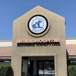 All Creatures Animal Clinic