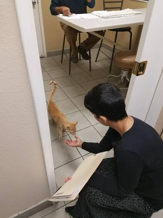 Sugarloaf Animal Clinic Picture 8