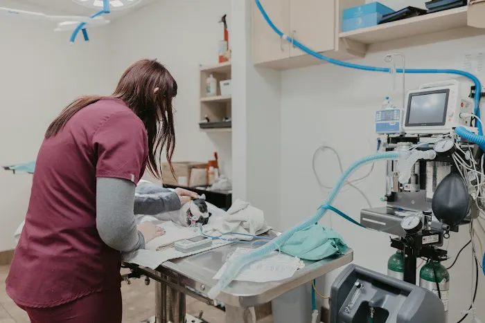Dr. Kelly's Surgical Unit - North Phoenix Picture 2