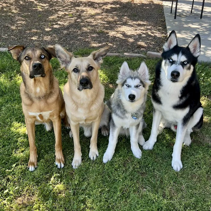 Hopi Animal Hospital Picture 4