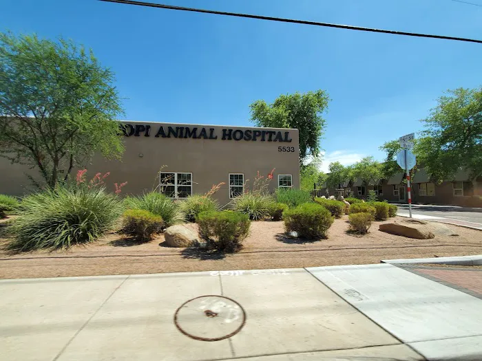 Hopi Animal Hospital Picture 1