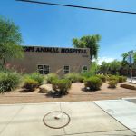 Hopi Animal Hospital