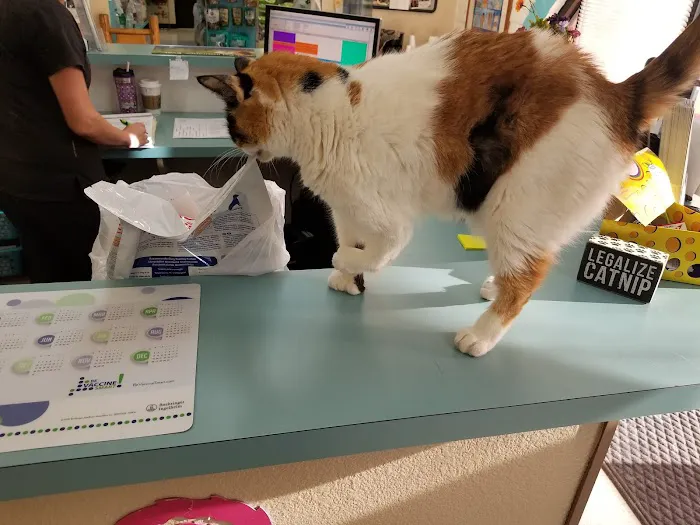 Amigo Animal Clinic Picture 1