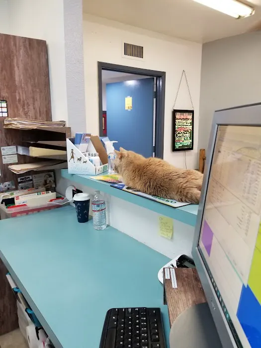 Amigo Animal Clinic Picture 9