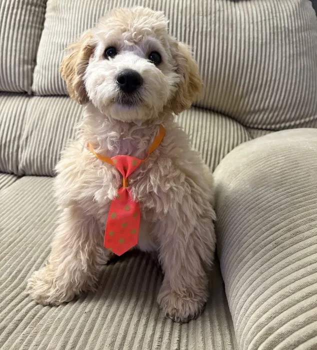 Canyon Animal Hospital Picture 10
