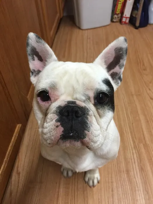 Canyon Animal Hospital Picture 9