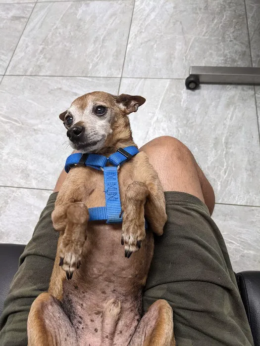 Canyon Animal Hospital Picture 6
