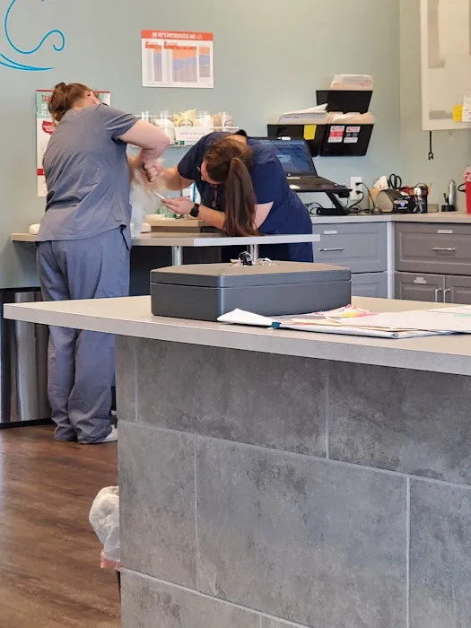 easyvet Veterinarian San Tan Valley Picture 2