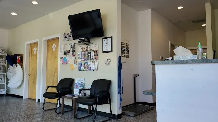 Harborside Animal Hospital Picture 1