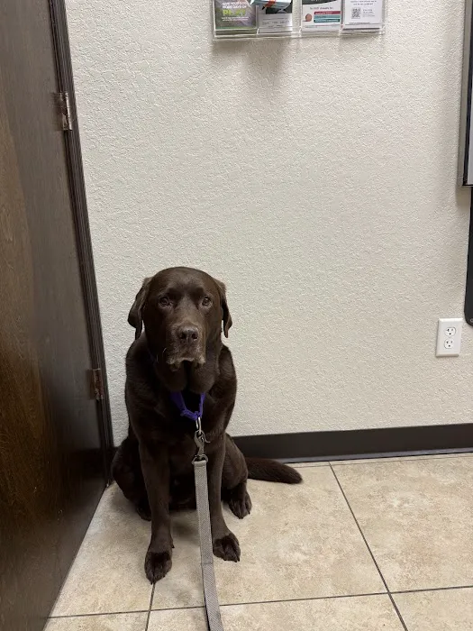 Metzler Veterinary Hospital Picture 1