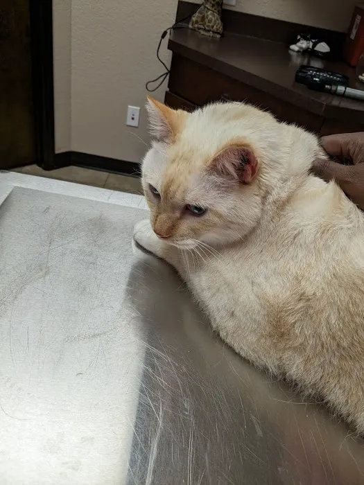 Metzler Veterinary Hospital Picture 7