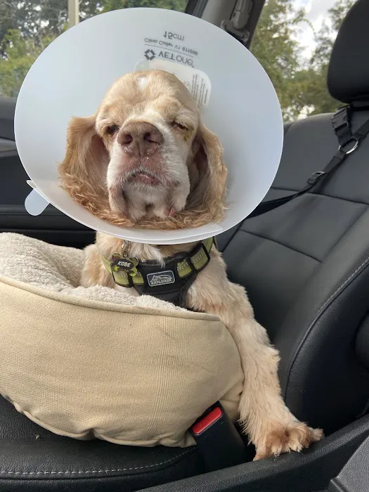 Metzler Veterinary Hospital Picture 8