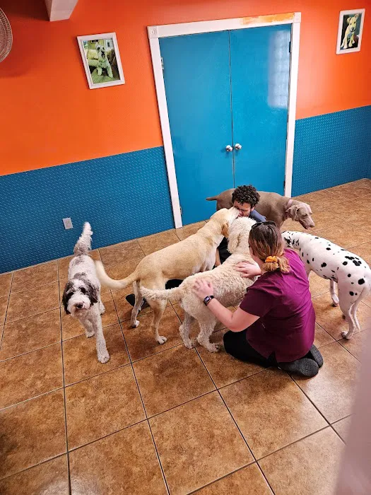 Animal & Bird Hospital of Clearwater Picture 4