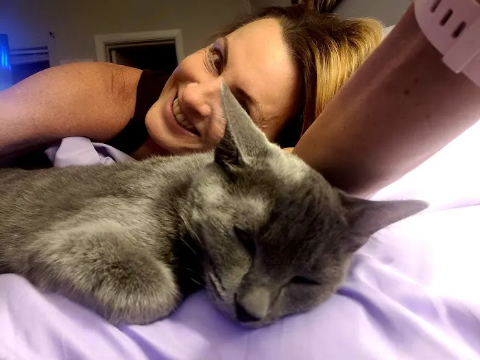 Veterinary Medical Hospital Of Clearwater Picture 1
