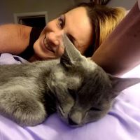 Veterinary Medical Hospital Of Clearwater ico