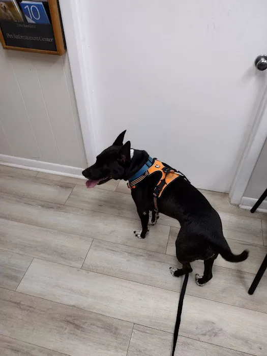 Veterinary Medical Hospital Of Clearwater Picture 3
