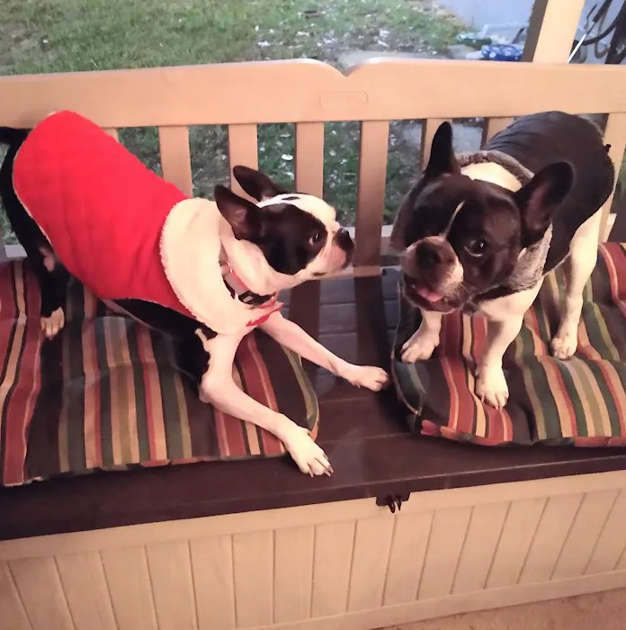 Sunset Point Animal Hospital Picture 9