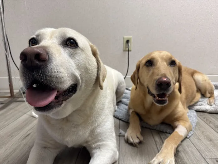 Sunset Point Animal Hospital Picture 1