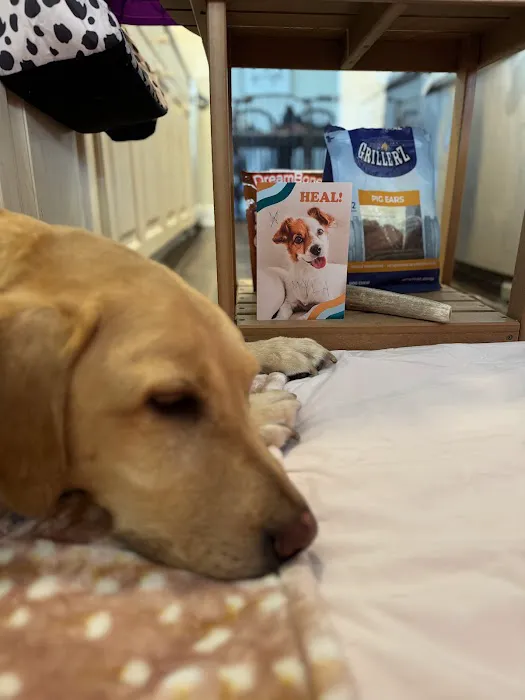 Sunset Point Animal Hospital Picture 4