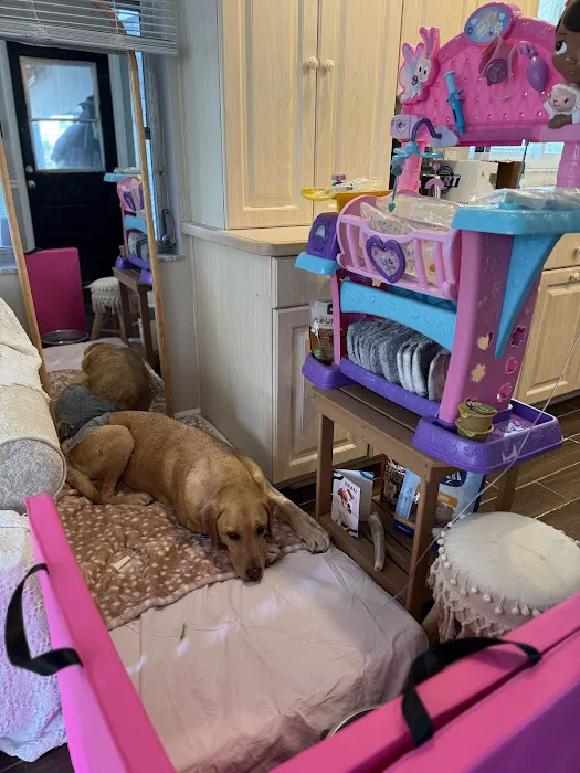 Sunset Point Animal Hospital Picture 2