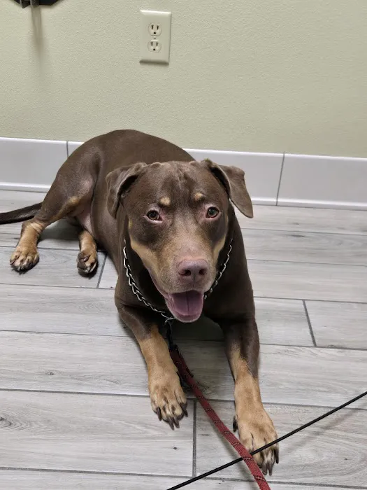 Sunset Point Animal Hospital Picture 10