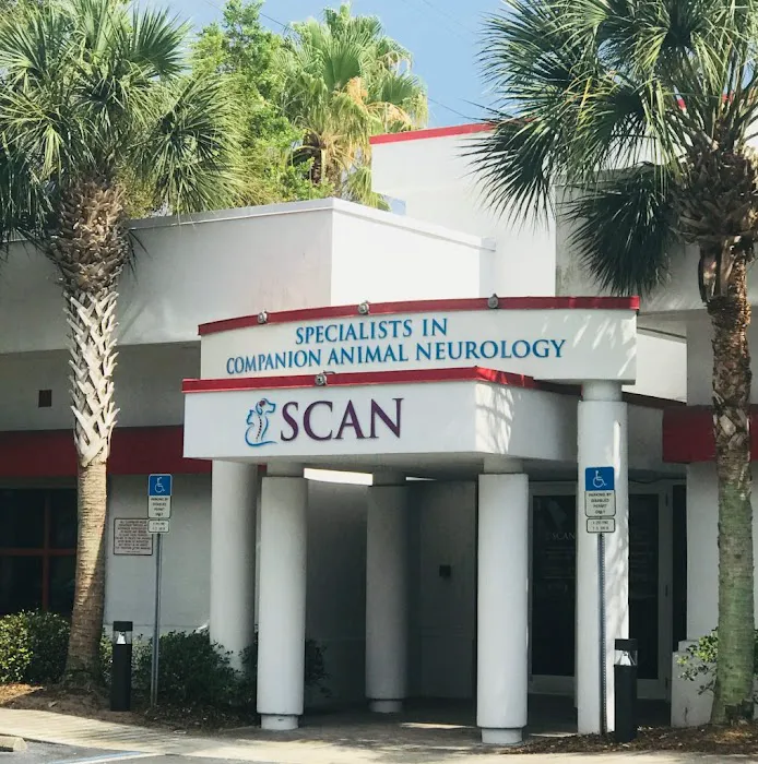 Specialists in Companion Animal Neurology (SCAN) - Clearwater Picture 3