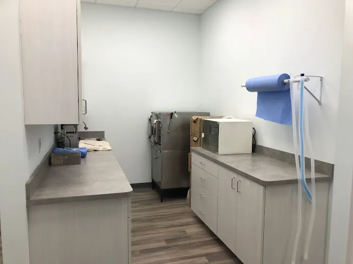 Specialists in Companion Animal Neurology (SCAN) - Clearwater Picture 6