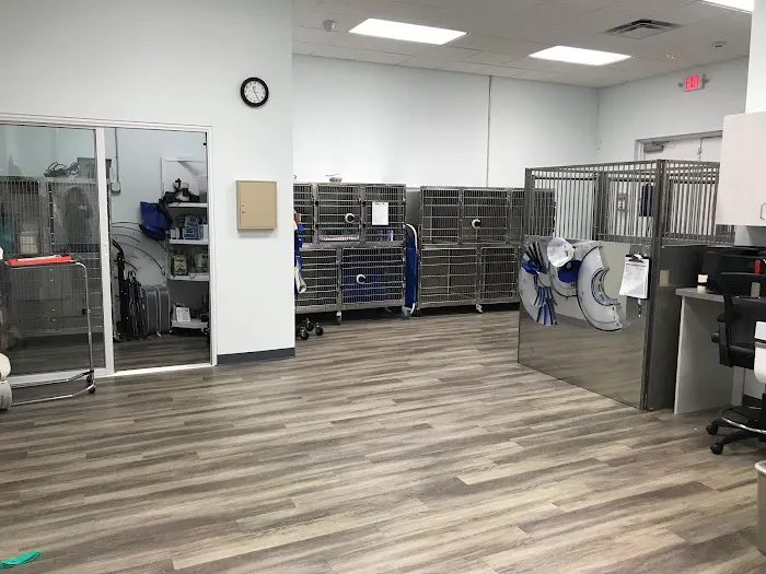 Specialists in Companion Animal Neurology (SCAN) - Clearwater Picture 8