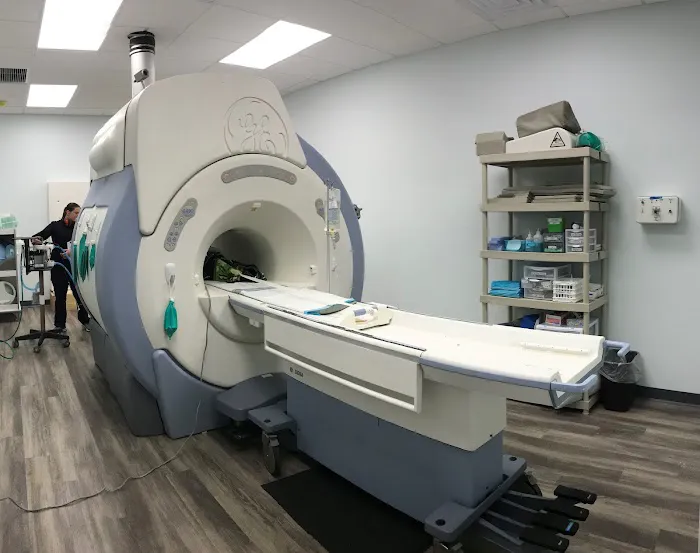 Specialists in Companion Animal Neurology (SCAN) - Clearwater Picture 4