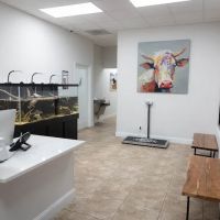 Harbor Springs Vet ico