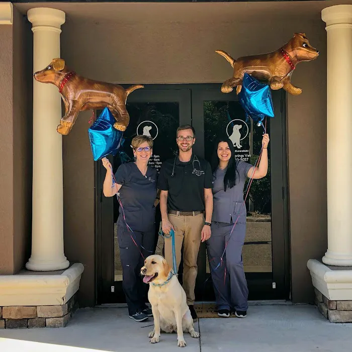 Harbor Springs Vet Picture 8