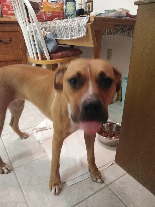 Tarpon Woods Veterinary Medical Center Picture 8