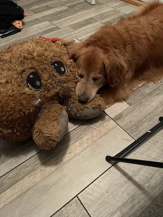 Tarpon Woods Veterinary Medical Center Picture 9