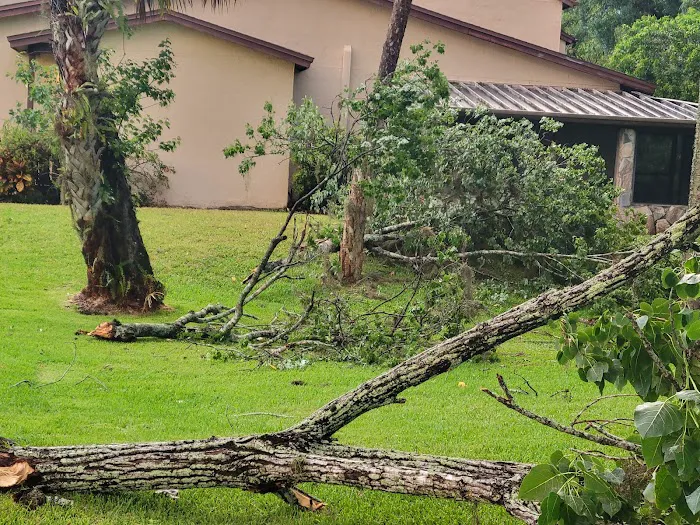 Tarpon Woods Veterinary Medical Center Picture 4