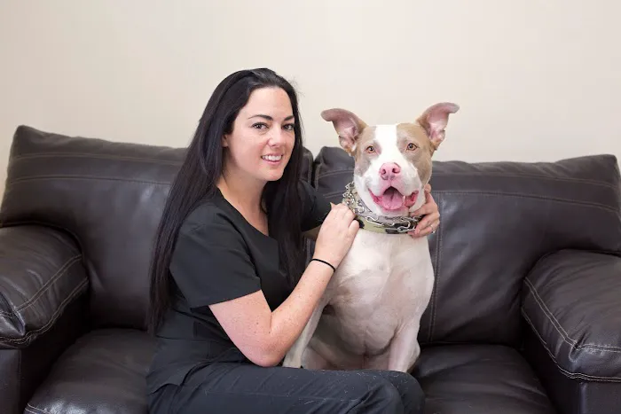 AA Animal ER Center Picture 6