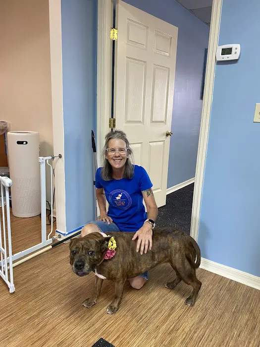 Palm Harbor Animal Hospital Picture 10