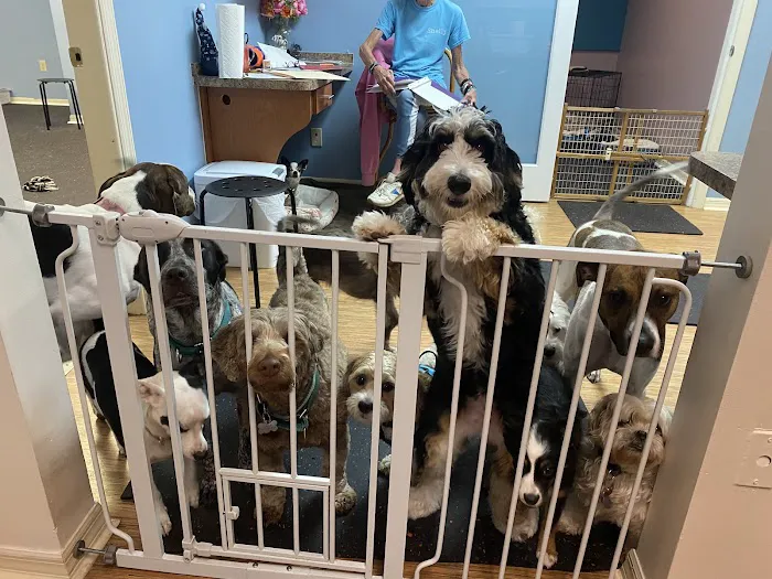 Palm Harbor Animal Hospital Picture 8