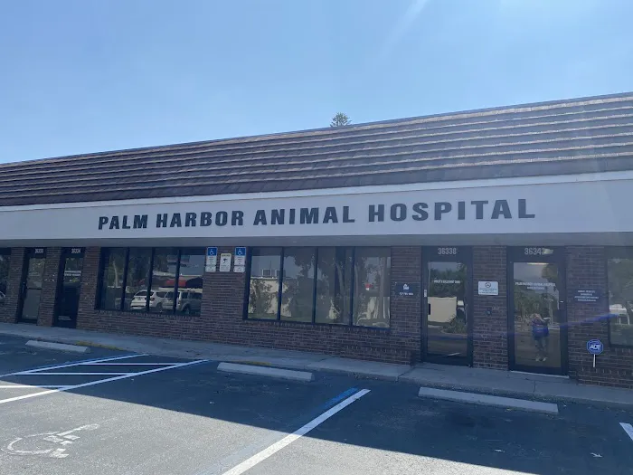 Palm Harbor Animal Hospital Picture 3