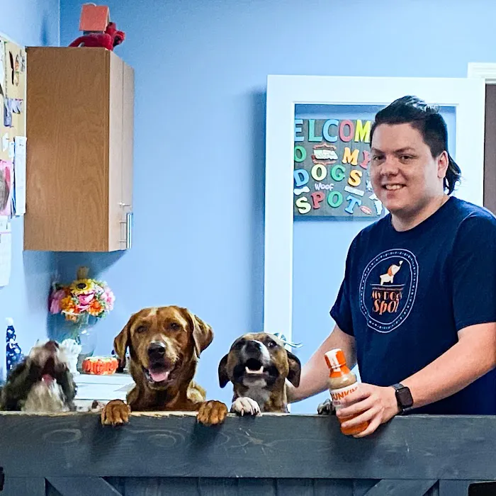 Palm Harbor Animal Hospital Picture 7