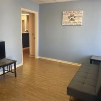 Palm Harbor Animal Hospital ico