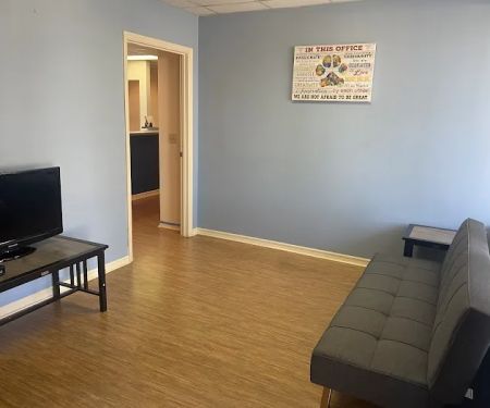 Palm Harbor Animal Hospital