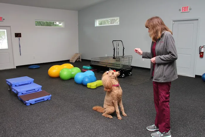 Steele Pain Management & Rehabilitation Center Picture 3