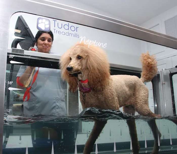 Steele Pain Management & Rehabilitation Center Picture 4
