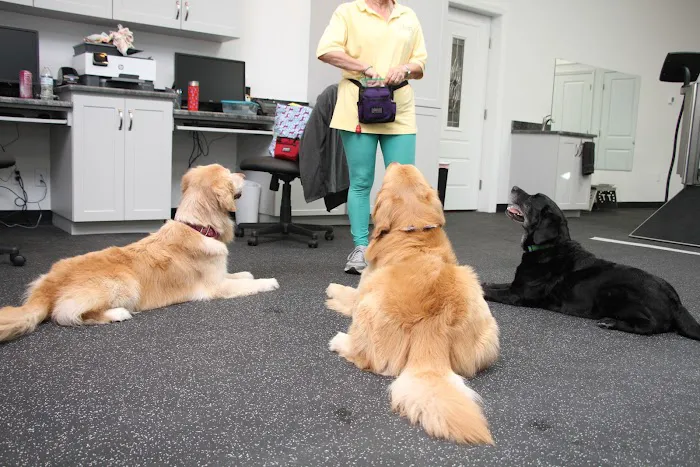 Steele Pain Management & Rehabilitation Center Picture 9