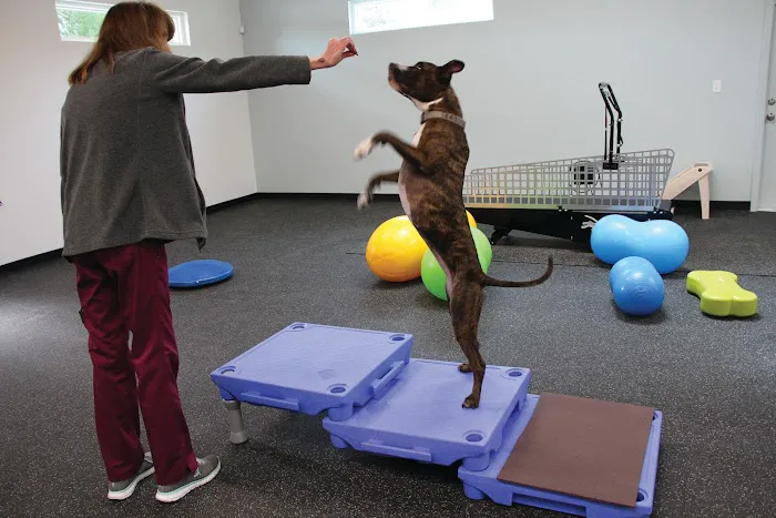 Steele Pain Management & Rehabilitation Center Picture 2
