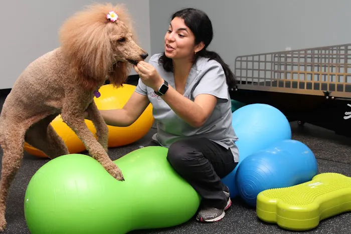 Steele Pain Management & Rehabilitation Center Picture 5
