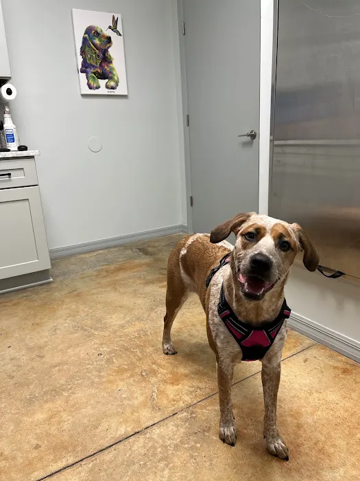 Trinity Oaks Pet Wellness Center Picture 2