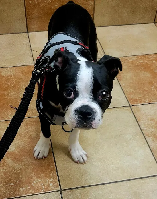 Banfield Pet Hospital Picture 7