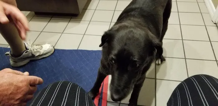 Animal Care Center of Pasco County Picture 7